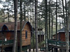 -洛阳白云山景区