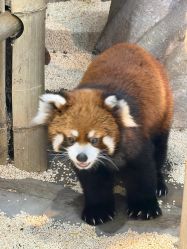 -Zoolung Zoolung动物主题公园(海信广场店)