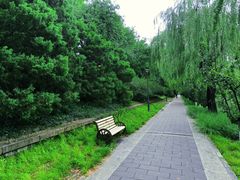 -元大都城垣遗址公园