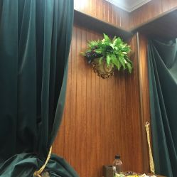 -小齐发型Star·Salon