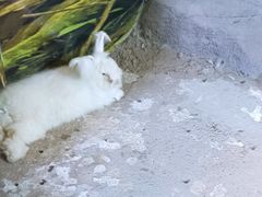 -苏州海洋馆