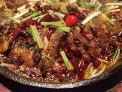 -老板恋上鱼(高新万达店)