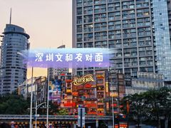-深圳东门凯悦嘉轩酒店