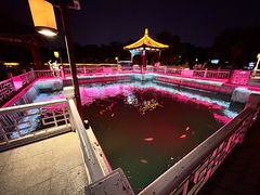 -长春市南湖公园