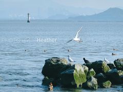 -深圳湾公园(南山区)