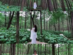 -洛阳白云山景区