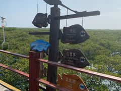 -北海金海湾红树林生态旅游区