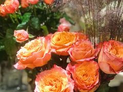 -BEAST野兽派(上海浦东嘉里城店)