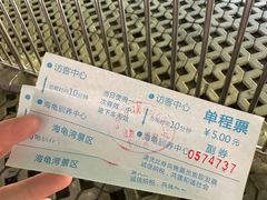 -广东惠东海龟国家级自然保护区