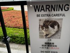 -Chili's Cafe&Bar奇利斯(滨江店)
