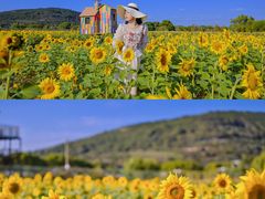 -苏州太湖西山岛开心农场