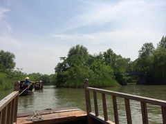 -溱湖国家湿地公园