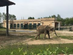 -哈尔滨北方森林动物园