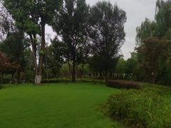 -九科绿洲