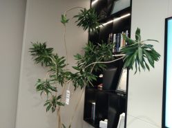 -颜蕾医美·黄金微针·水光·玻尿酸·超声炮·抗衰中心
