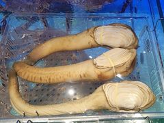 -阿伟海鲜楼·福建菜(延寿店)