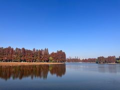 -东湖听涛景区