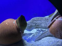 -江和美海洋公园