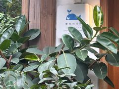 -懒鱼时光馆(沙坪坝店)