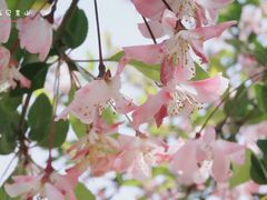 -洨河生态公园