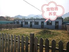 -趣玩宠物乐园寄养训犬训狗游泳池