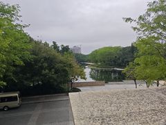 -风云岭森林公园