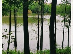 -三水森林公园