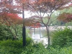 android_upload_pic-紫荆山公园