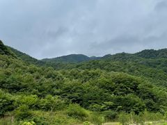-牛背梁国家森林公园