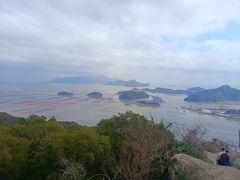 -花竹村