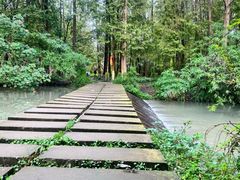 -桤木河湿地公园