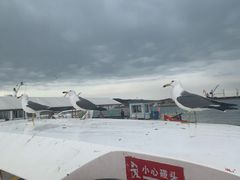 -海驴岛(荣成市)