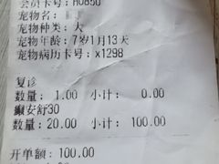 -东日国际动物医院·CT·心脏专科(桃源分院)
