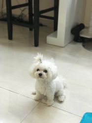-肌理言健康美肌驻颜所