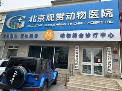 -北京观赏动物医院·24小时大型综合·猫专科·异宠专科
