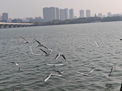 -蠡湖大桥公园