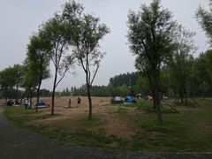 -东郊湿地公园