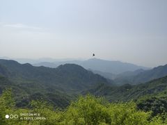 -大岭沟猕猴桃谷风景区