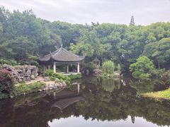 -叶家花园