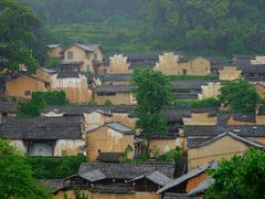 -杨家堂村