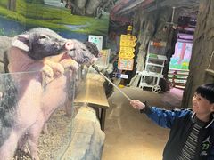 -正佳雨林生态植物园