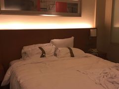 -上海浦东康桥绿地假日酒店