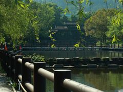 -黄陂区野村谷景区