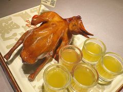 -大鸽饭(动物园店)