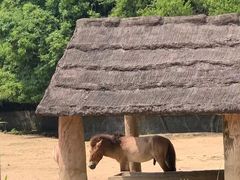 -杭州野生动物世界