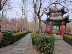 -燕郊植物园