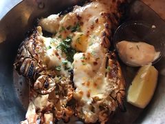 -Dampa Seafood Grill - Dubai