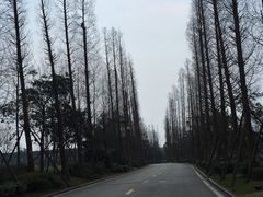 -青城道汤池