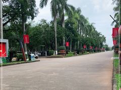 -万绿园