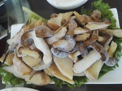 -野菌皇海景野生菌火锅(滨海大道店)